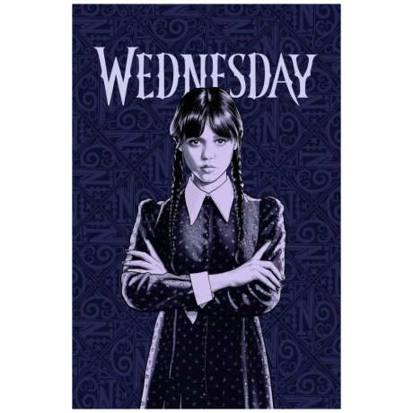 Polar fleece deka Wednesday