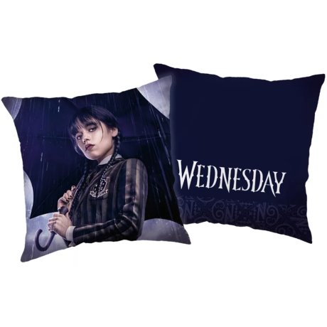 Obojstranný vankúš Wednesday - Rain