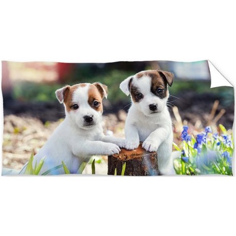 Bavlnená plážová osuška Jack Russell Teriér