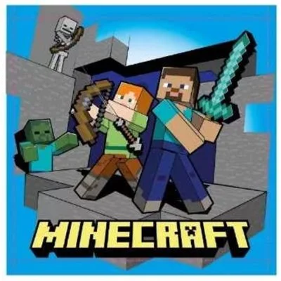 Detský malý uterák na tvár Minecraft