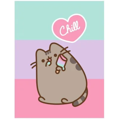 Coral fleece deka Pusheen – Chill