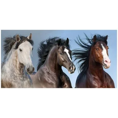 Bavlnená plážová osuška Divoké kone