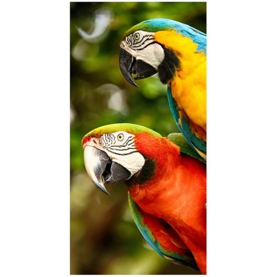 Bavlnená plážová osuška Farebné papagáje Ary - 70 x 140 cm