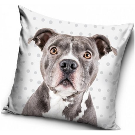 Obliečka na vankúš Pitbull