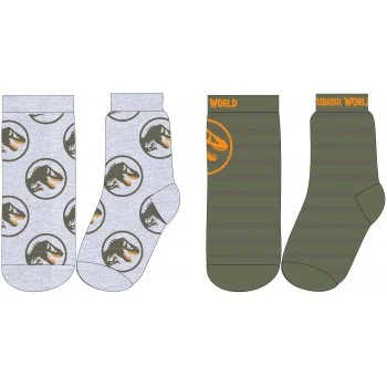 Chlapčenské ponožky Jurský svet (2 páry)